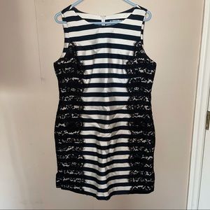 Eliza J Off White Black Striped Lace Sleeveless Dress Size 12